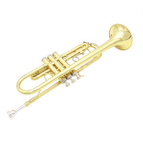 Small musical instrument lower B-modulated gold plated brass small professional exam playing good blow-saving school band