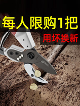 Special scissors for cutting branches Japanese imported grafting sk5 pruning shears big shears lengthy manual peach tree orchard artifact