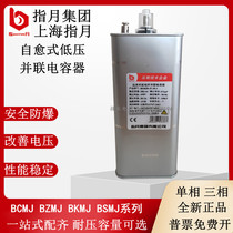 Finger Moon Group BSMJ0 4 0 45-20 25 30 40-3 1 Self-healing low voltage parallel power capacitor