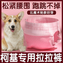 Kokie special paper diaper dog Lara pants menstrual physiological pants mother dog Excrements Aunts towel Pine urine not wet