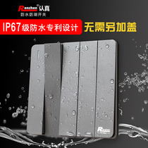 RENZHEN serious IP67 super waterproof and moisture-proof five open switch ordinary light Hall five in one 16A Gray