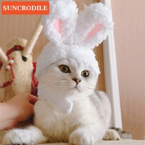 Cat rabbit headgear Dog Pet Net Red Hat Teddy Daddie small dog straw hat headdress dress cute