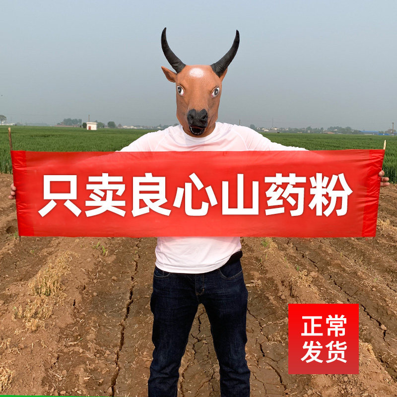 Drink ready-to-eat hardcore Huaishan Huaishan iron stick yam powder Henan Jiao for yam cooked powder breakfast authentic