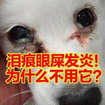 Cat and dog eye drops Pet Cat and dog eye wash to remove tears Artifact Eye drops Tear removal liquid Cat supplies