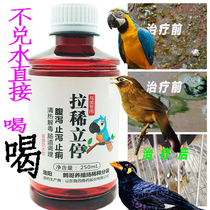 Special for birds laziness anti-inflammatory parrot pigeon medicine wren starling water stool thrush green feces diarrhea