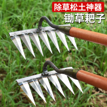Steel rake pine soil nail rake agricultural hoe tool to wash earth artifacts multi-functional home six-tooth rake