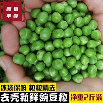 Guizhou farmhouse fresh peas rice shelled vegetables green beans rice sweet beans Dutch beans bags 2kg