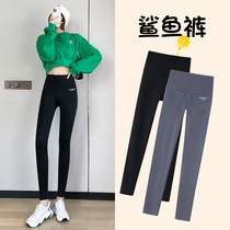 Kaka Shark Pants Woman External Wear Spring Autumn New Comfort Elastic Fitness Yoga Pants No Mark High Waist Barbie Pants