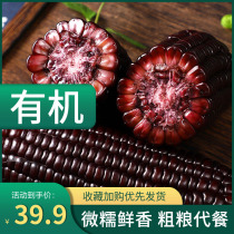 Northeast Organic black corn Sweet Waxy corn Fresh 10 sticks sticky corn meal replacement Whole grain breakfast Ready-to-eat vacuum