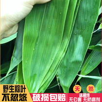 Fresh zongzong leaves free mail fresh dry large wild vacuum bamboo bag zongzi artifact dry leaves Ruo leaves