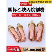 Gas cutting gun accessories national standard acetylene propane gas liquefied gas cutting gun accessories cutting nozzle g01-30 ring type