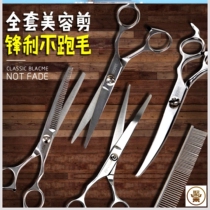 Pet grooming scissors dog shearing haircut scissors straight scissors top and bottom bending steel comb tools pet supplies
