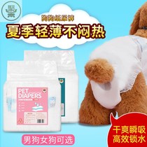 Public dog special paper diaper dog urine not wet teddy small pet sanitary physiological courtesy with anti-mating piss