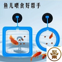 Buoyancy small fish feeder Feeding circle Aquarium fish tank Fish food Fish food Fish feed feeding circle Fish feeding circle