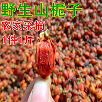 New 500g Fujian Wild Mountain Gardenia Mountain Branches Yellow Gardenia Gardenia Flower Tea