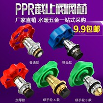 PPR PE shut-off valve Spool PE shut-off valve Gate valve Water valve valve Water pipe fittings accessories
