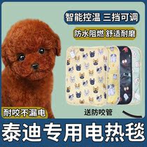 Teddy Dogs Special Electric Blanket Dog Mat Sleeping with Bite Resistant Winter Waterproof Heating Sleeping Mat Pet Electric Bedding
