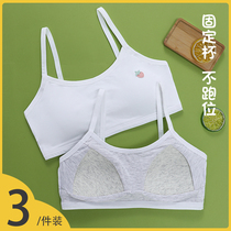 Junior high school girlsunderwear hair care period girls small vest elementary school children pure cotton children adolescence high Chinese bra
