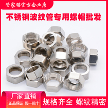 4 points stainless steel bellows nut gas pipe joint nut 6 points 1 inch 1 2 inch 1 5 inch copper nut fittings