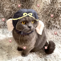 Pig eight ring pet hat cat headgear supplies British short funny headdress small dog spoof dress up photo props