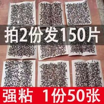 Sticky fly paper fly sticker comes with bait Strong fly lure Sticky fly glue tasteless household sweep light restaurant hotel fly