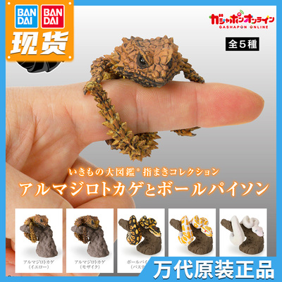 taobao agent Bandai Gacha Bio -Biotech Book Fingers of Animal iguana and ball python simulation reptile ornaments