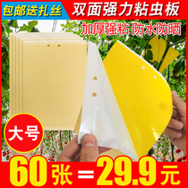 Yellow board double-sided armyworm board Insect-inducing board Paper paste small flying insects dip fruit fly sticky board Orchard special vegetable greenhouse