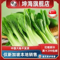 (YummyHunter-Japan Green) Japan green 1kg Singapore local delivery