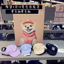 Pet helmet Cat Dog hat NY Pet hat LA hat Fashion ing Pet dog hat LA Baseball cap dog