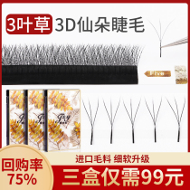 Clover 3d fairy flower eyelashes beauty zone grafted eyelashes 0 05 Soft Hair yy eyelashes