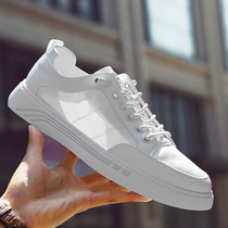 Male Shoes Breathable thin Canvas Small White Shoes 2022 New Korean Tide 100 Hitch Casual Board Shoes Mens Shoes Deodorant