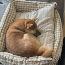 Farhopper Midsize Dog Kennel Mat Summer Cool nest Washable Four Seasons General pet Dog bed Cat Nest Deep Sleep