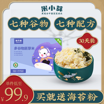 Rice sprouts Organic multi-grain millet germ rice porridge Baby childrens nutrition rice porridge rice monthly subscription 30g*30