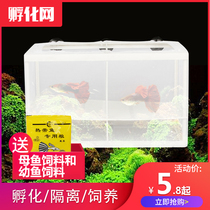 Fish tank Aquarium incubator Small fish isolation box net Tropical fish breeding box production box Incubation fish tank breeding box fish net