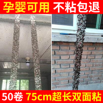 Flies paste strong sticky fly paper sticky fly ribbon strips hanging fly fly board anti mosquito artifact killer a sweep of home