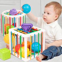 Infant puzzle cube Sesele shape box color cognition 1 baby 0-3 years old toy one year old early education Enlightenment