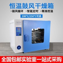Shanghai Yicheng dhg-9030a 9070 9140A electric heating constant temperature blast drying oven laboratory oven industry