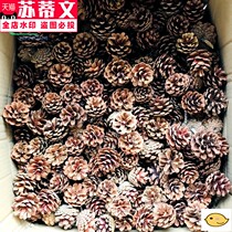 100 pine cones handmade pine cones pine balls Christmas pine cone dried flower shooting props diy material