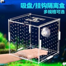 Fish tank protection small fish isolation box partition net juvenile big fish isolation board large and small number incubator breeding box mini suspension