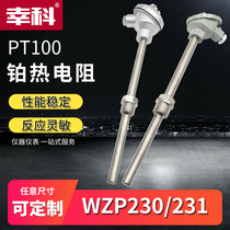WZP230 WZP-231 PT100 Platinum thermal resistance PT100 temperature sensor fixed thread thermocouple