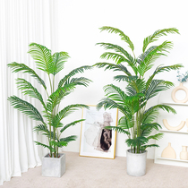Nordic simulation plant loose tail sunflower potted living room decoration fake green plant Phoenix sunflower turtle back leaf large indoor bonsai