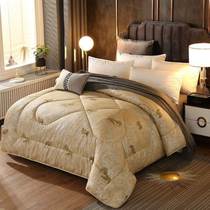 Thickened Warm Camel Hair Quilt Quilted Quilt By Quilt Core Single Double Spring Autumn Speed Hot Winter Quilted By Dorm Student Camel Suede