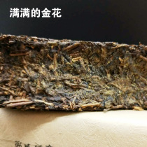 Authentic old tea tea polysaccharide Chen Tian Stem tea brick Jinhua Fu Brick black Tea Hunan Anhua Black Tea 900g promotion
