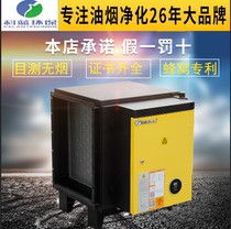 CoBlue environmentally friendly oil smoke purifier 6000 Air volume Cellular Low Altitude Catering Hotel Kitchen Barbecue Commercial Separation
