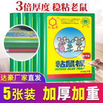 Dahao big mouse sticky strong sticky mouse board gluey big mouse sticker commercial mouse artifact A1# luxury type