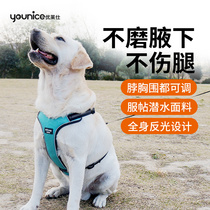 Uleshi Kim Mao Labrador Large Dog Dog Rope Sammoye Big Dog Traction Rope Item Ring Dog Braces for Dog