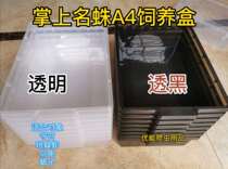 A4 crawl pet box PVC climbing cabinet Palm name Spider A4 box BAO WEN guard drawer toy snake pull box