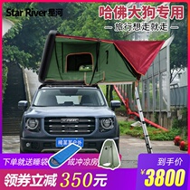 Haver Big Dog suv Car Car Top Tent Fully Automatic Self-driving Tour Hard Shell Luggage Rack Tank 300 Wrangler
