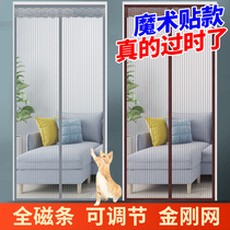 King Kong full magnetic stripe anti-mosquito door curtain Summer household anti-fly encryption screen door partition Magnetic self-priming free hole curtain