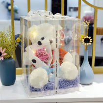 Small Bear Teddy Bear Cuddle With Bear Plush Toy Paparazzi Box Dress Girl Birthday Valentines Christmas Gifts